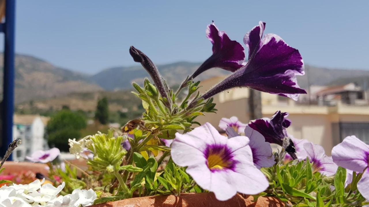 Posada Alpujarra Sol 오르히바 외부 사진