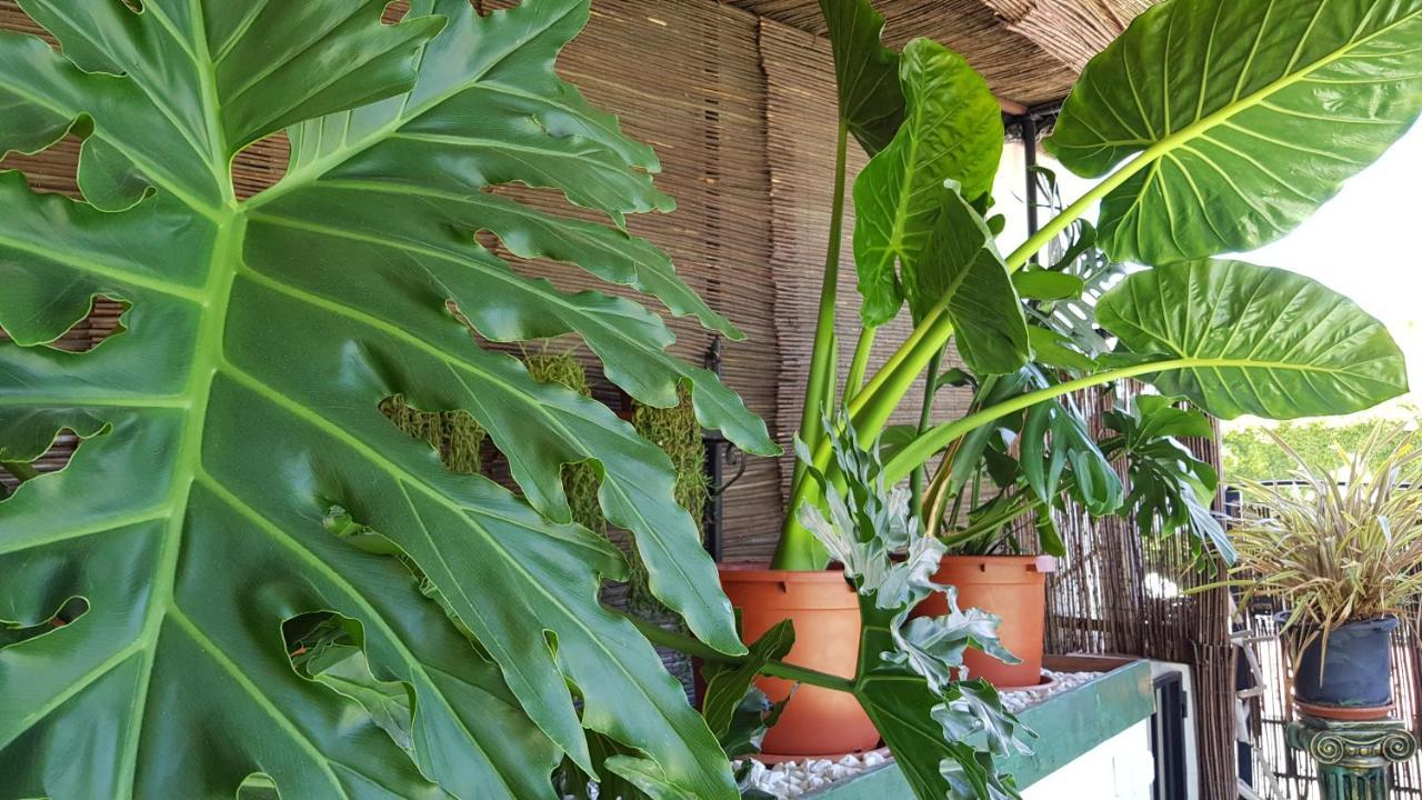 Posada Alpujarra Sol 오르히바 외부 사진